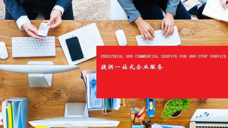 上市辅导成功率背后的关键因素解析