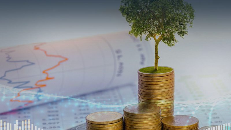 上市辅导协议主要包括以下内容：